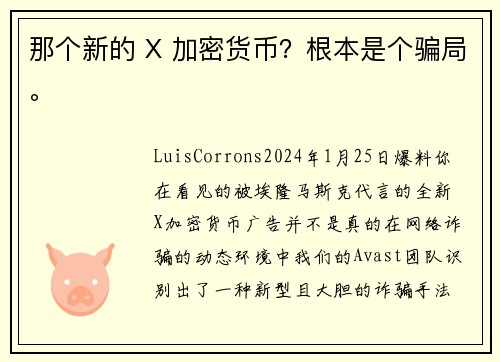 那个新的 X 加密货币？根本是个骗局。